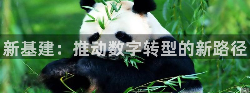 众腾娱乐总代理
